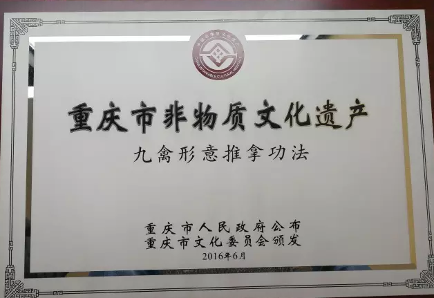 九禽形意推拿功法